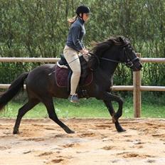 Islænder Prinsessa f. Midgaard