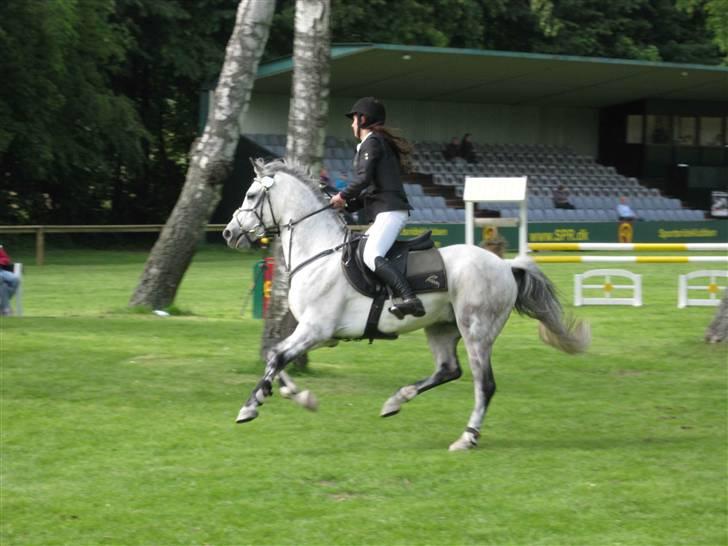 DSP Amadeus - Bernstofparken d. 6 Juni 2009, i LA. Som det kan ses var han meget frisk d; som altid (: billede 3