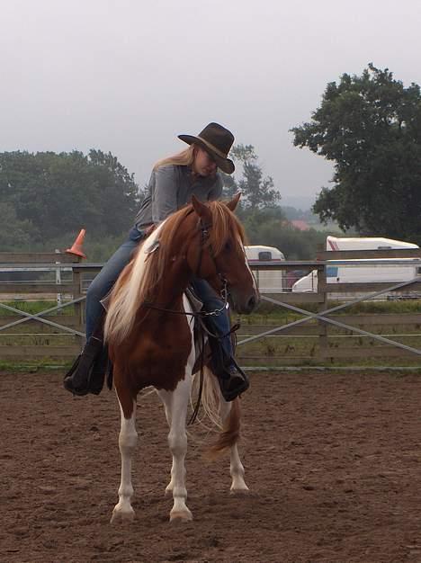 Pinto Mr 'Crazy Horse' Geronimo - Første stævne. Blev disket første dag, pga. af mig. Anden dag fik vi en femte plads. billede 1