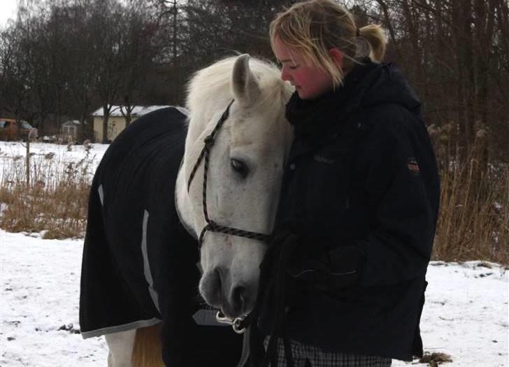 Anden særlig race Silver Star <3 R.I.P :( - 3. 24/1-10 sidste dag  :´( ingen er perfekte, men det betyder ikke at man ikke kan være perfekte for hinanden, ingen kan nogensinde erstatte dig <3 foto: MC billede 3