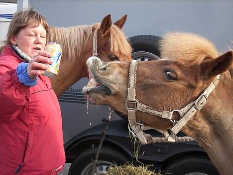 Shetlænder jeppe - Mums.. Sodavand billede 1