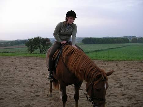 Anden særlig race Laban SOLGT billede 20