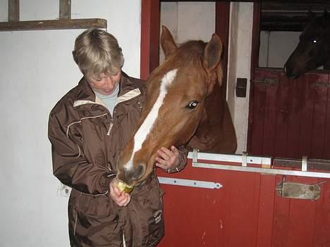 Connemara Skærgårdens Mc. SOLGT - Mc. Night oppe ved Lisa, hun forkæler den pony ;-) billede 17