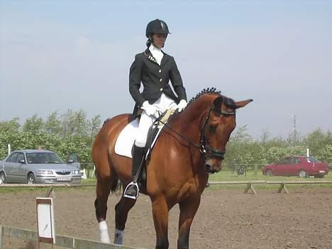 Anden særlig race Simka - Til Simkas første stævne. billede 1