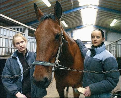 Anden særlig race Simka - Simka i avisen. billede 5