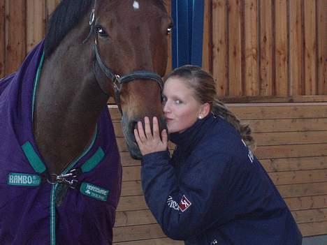 Dansk Varmblod Macon - Vil alltid elske dig, du er bare den bedste..  billede 15