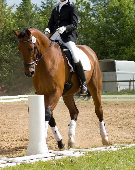 Anden særlig race Simka - Mit hoved er lige forsvundet ud af billedet.. :) billede 7