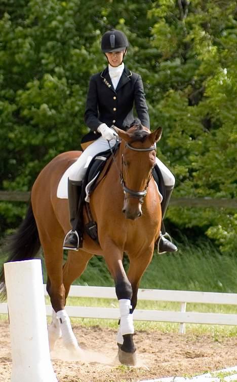 Anden særlig race Simka billede 8