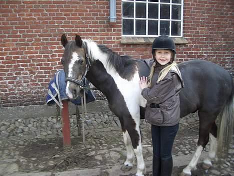 Pinto Mulle - mig og ham men det er vist snart et år siden..  billede 5