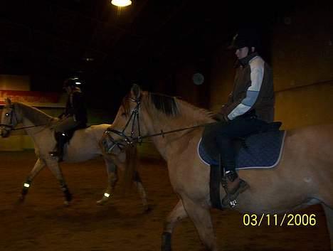 Holstener Fantast ** - vicki på tøsen og mig på sander  billede 10