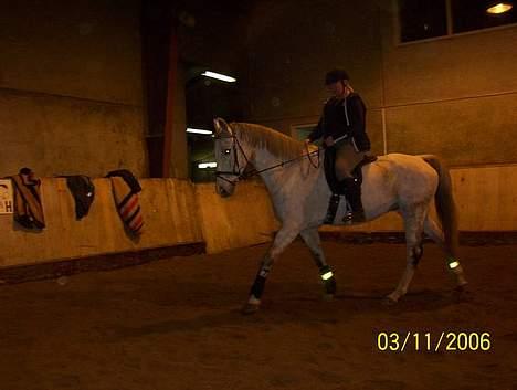 Holstener Fantast ** - vores første gang på lykkeshøj billede 12