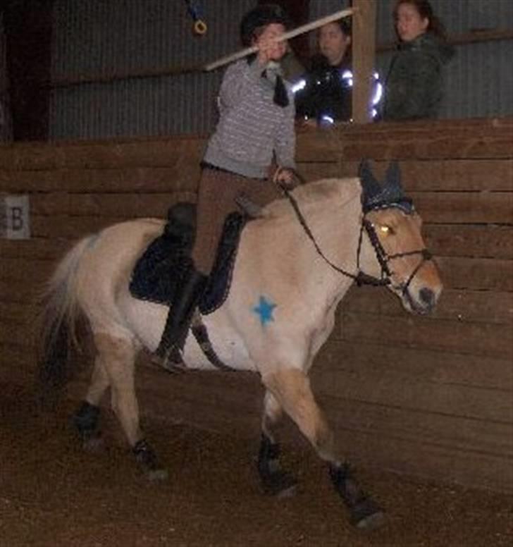 Fjordhest Charlie <3  - -- billede 8