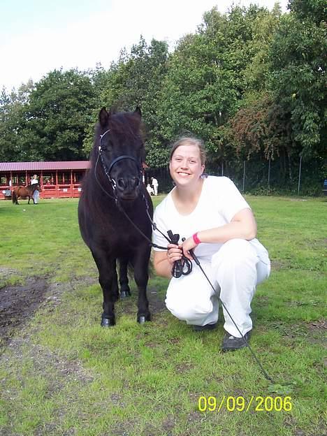 Shetlænder Shetti's Superior - Store Hestedag 2006 billede 9