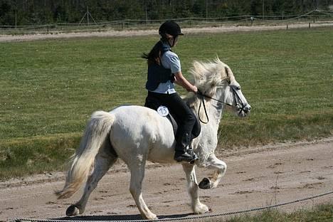 Islænder Gáski frá Grimstungu - Tölt til ungdomst stævnet :D [taget af Ditte] billede 6