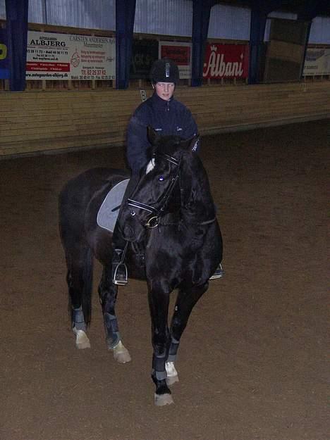 Dansk Varmblod Kartago - Nu er vi begge trætte efter en hård enetime i dressur, der har jeg lige fået ham.  billede 11