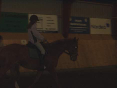 Dansk Varmblod May Julaga R.I.P - ved godt det er lidt mørkt..  billede 11