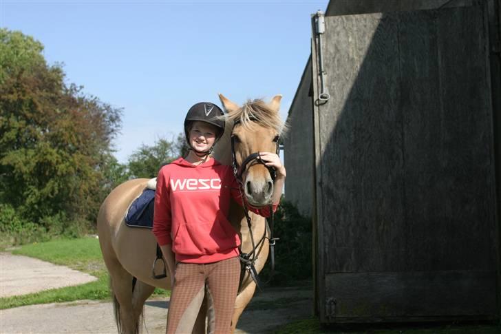 Fjordhest Charlie <3  - mig og charlie,ser møgunderlig ud i hovedet xD billede 16