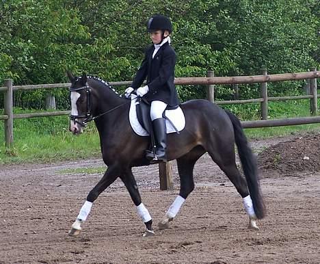 Welsh Pony (sec B) Nedergaards Milano *Død* - Mig & hende<´3 billede 6