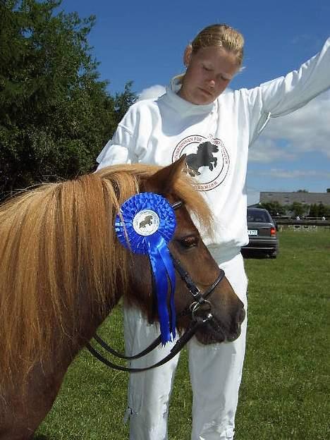 Shetlænder Naomi V. Schillig - er hun ikke flot? billede 18