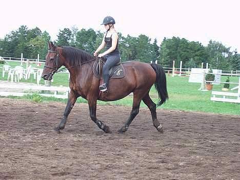 Anden særlig race Pernille*DØD* billede 5