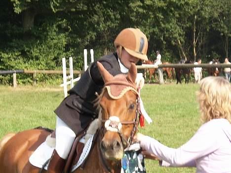 Anden særlig race komet  billede 10