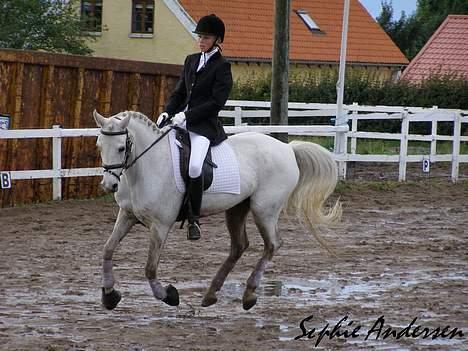 Anden særlig race Snowball R.I.P <3  billede 20