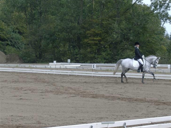 Anden særlig race Valéz - Frederikshavn 2007. Holdmesterskaber. billede 3