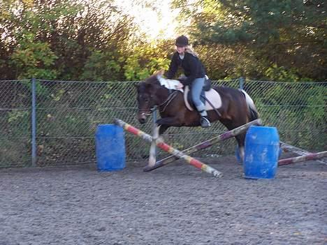 Anden særlig race tamara - spring igen... billede 11