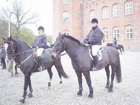 Oldenborg Grock Birkehøj *Solgt* - fra hubertusjagt på rugaard den 5 nov. mig og nina var ræve.. :0) billede 19