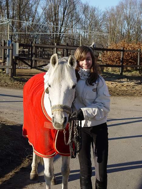 Connemara Jolly Jumper *SOLGT* - tyrækketur da han havde seneskade /: billede 18