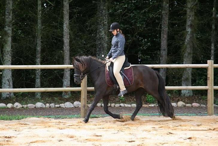 Islænder Prinsessa f. Midgaard billede 2