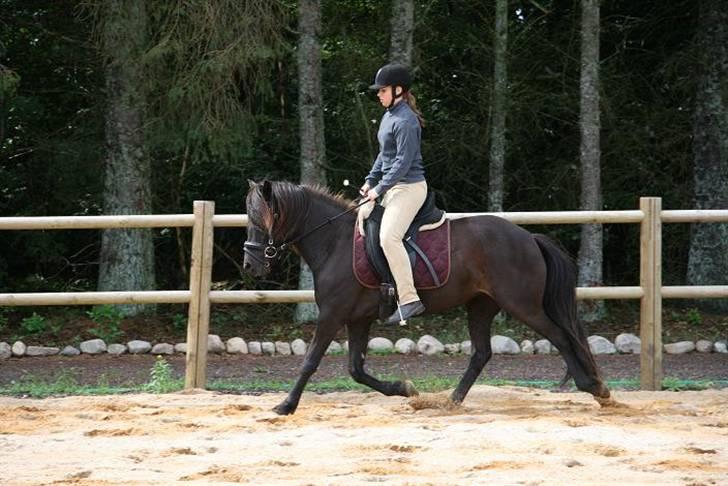 Islænder Prinsessa f. Midgaard billede 3