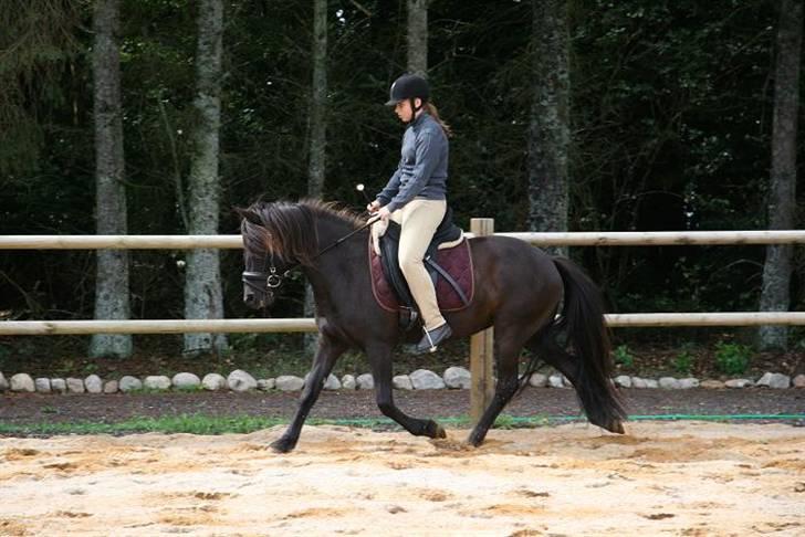Islænder Prinsessa f. Midgaard billede 7
