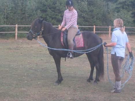 Islænder Prinsessa f. Midgaard - Anden gang jeg var oppe på hende.. billede 8