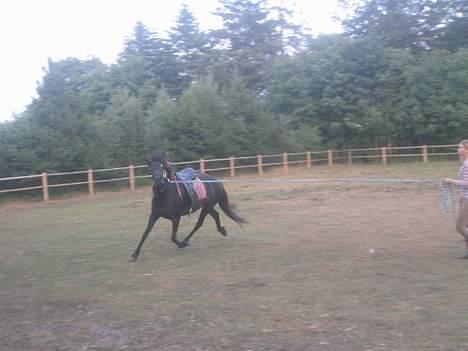 Islænder Prinsessa f. Midgaard billede 9