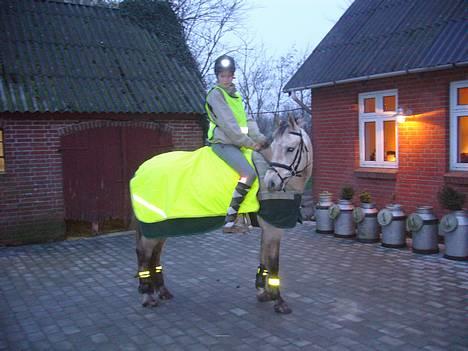 Anden særlig race Max Motor (SOLGT) - Reflekser igen. billede 19