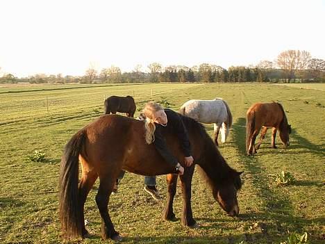 Islænder bylting - på folden... louise du er utrolig intelligent hva ?  billede 5