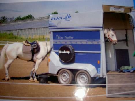 Anden særlig race unicorn(solgt) - hvem siger lang hest? undskyld kvaliteten er taget af et billede billede 18