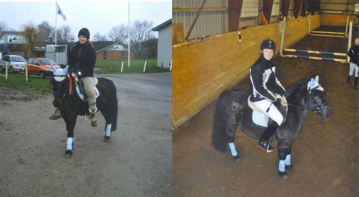 Welsh Mountain (sec A) Tarzan - Tosse og jeg til vores allersidste stævne sammen.. Vi startede le spring met B0 og var self fejlfrie ;) det hele var egentlig en joke, som blev ført ud i livet :)  billede 11