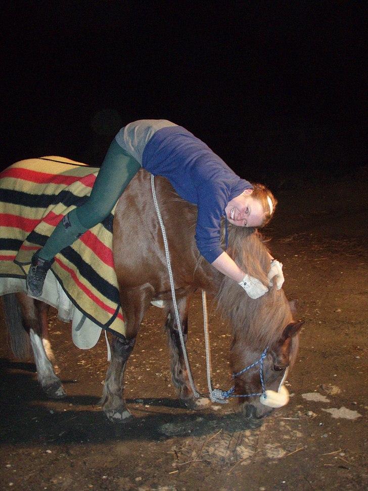 Welsh Cob (sec D) Casnewydd telynor - ¤1¤ En a de sidste dage sammen med ham, Du fik mig altid til at smile (´: .. Jeg savner dig så meget bølle!, ): (må ikke benytes af andre end mig, mednindre andet er aftalt) billede 1