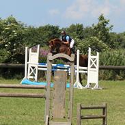 Anden særlig race Amira