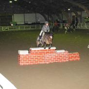 New Forest Diesel  y pony <3