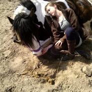 Tinker Sir Elliot (solgt)