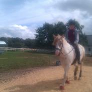 Anden særlig race Plet