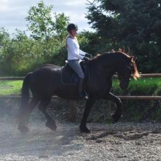 Frieser AKKE FAN DE SLACHTEDYK (Red og passede)