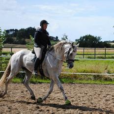 Pura Raza Española Guerrer