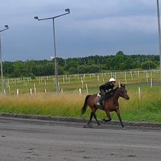 Traver Power Of Roll