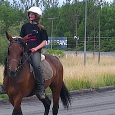 Traver Power Of Roll