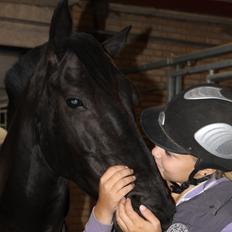 Anden særlig race Medomgårds Malle (Pensioneret)