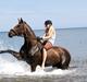 Hannoveraner l »Ramina«